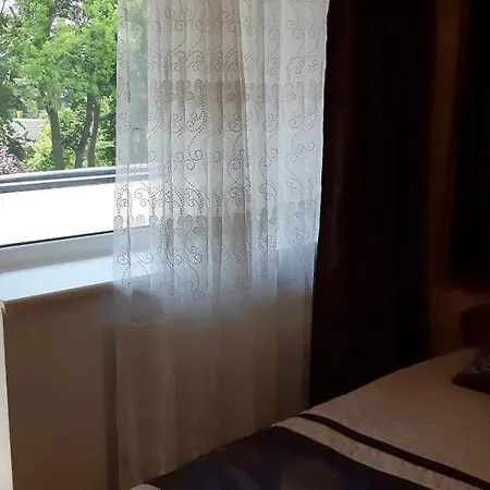 Pas Elvyra 게스트하우스 *