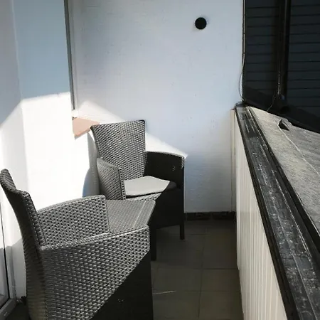 Pas Elvyrą
